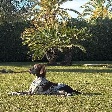 La Calma Espectacular Villa Con Jardin Y Piscina En Menorca S'Algar Exteriér fotografie