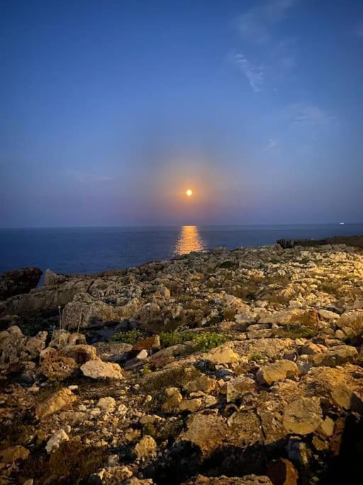 La Calma Espectacular Villa Con Jardin Y Piscina En Menorca S'Algar Exteriér fotografie